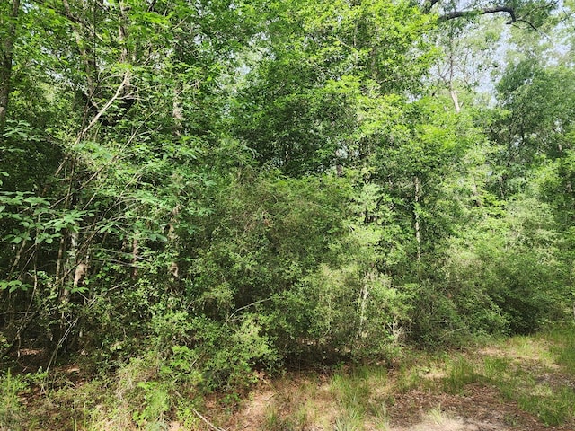 10ACRES Bronx Rd, Saratoga, TX 77585