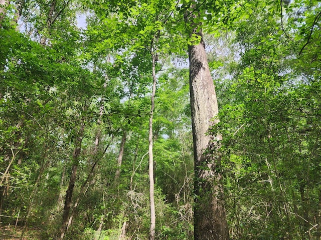 10ACRES Bronx Rd, Saratoga, TX 77585