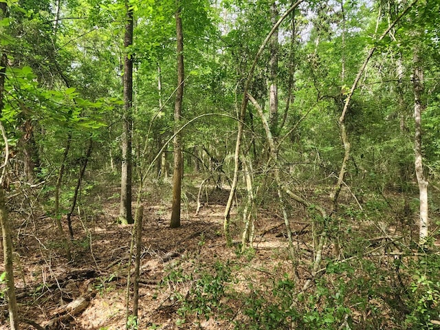 10ACRES Bronx Rd, Saratoga, TX 77585