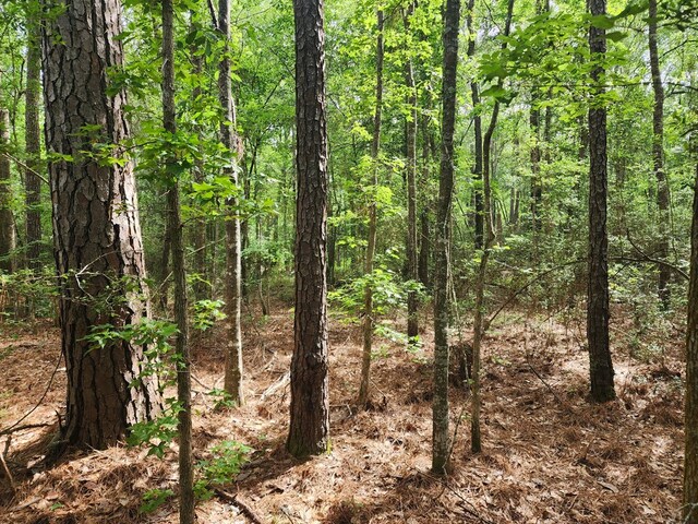 10ACRES Bronx Rd, Saratoga, TX 77585