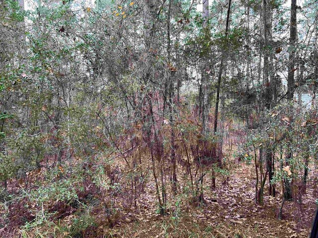 109 Deergrass Dr, Brookeland, TX 75931