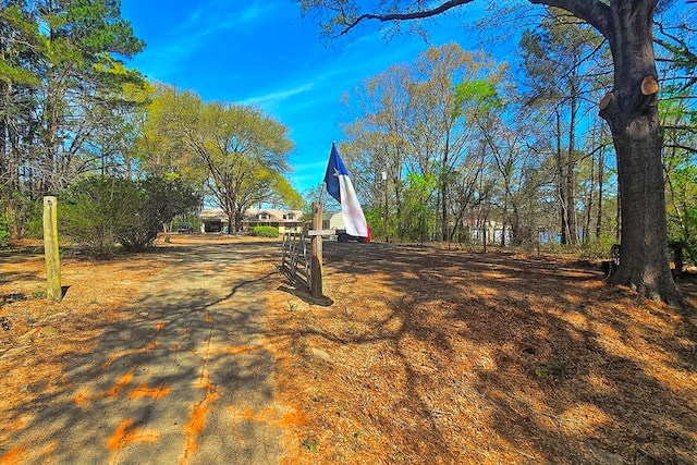 2105 Carters Ferry Rd, E Road, Milam, TX 75959 - view of yard