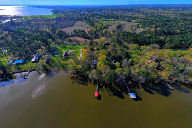 2105 Carters Ferry Rd, E Road, Milam, TX 75959 - birds eye view of property with a wooded view and a water view