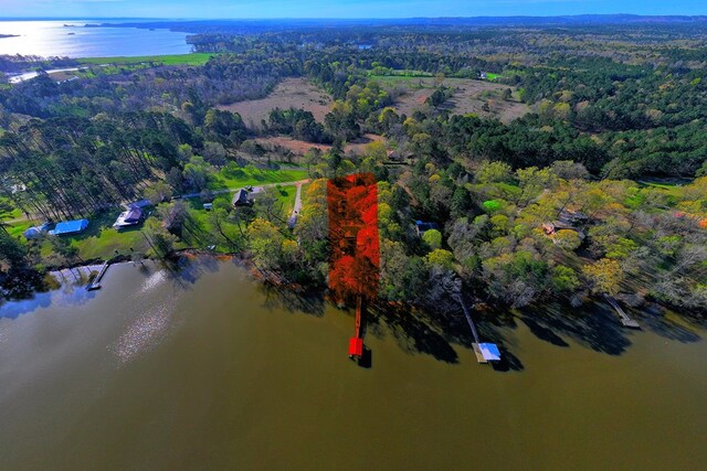 2105 Carters Ferry Rd, E Road, Milam, TX 75959 - birds eye view of property featuring a view of trees and a water view