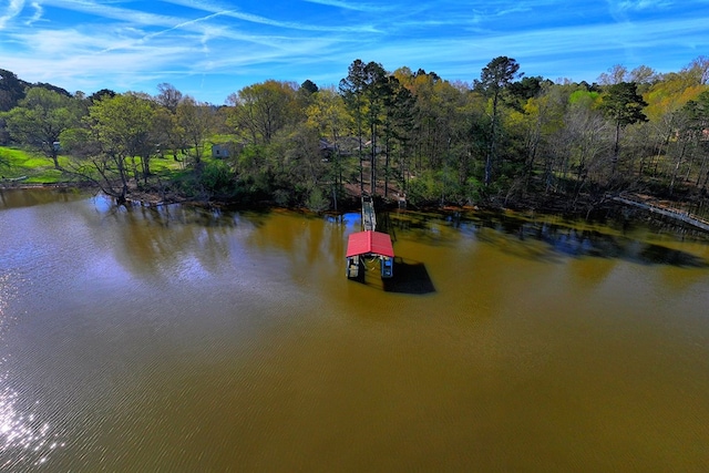 2105 Carters Ferry Rd, E Road, Milam, TX 75959 - water view with a forest view and a boat dock