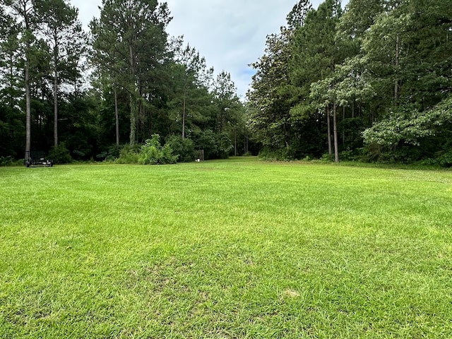 4815 Fm 2827, Warren, TX 77664 - view of grassy yard featuring a wooded view