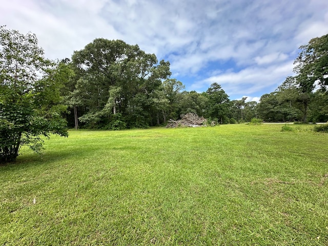 4815 Fm 2827, Warren, TX 77664 - view of grassy yard