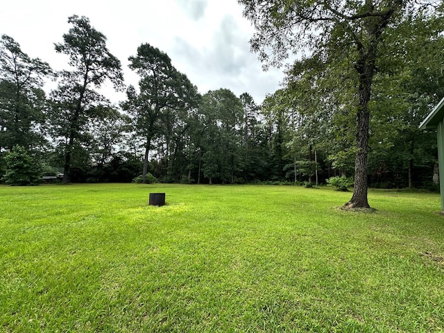 4815 Fm 2827, Warren, TX 77664 - view of green lawn