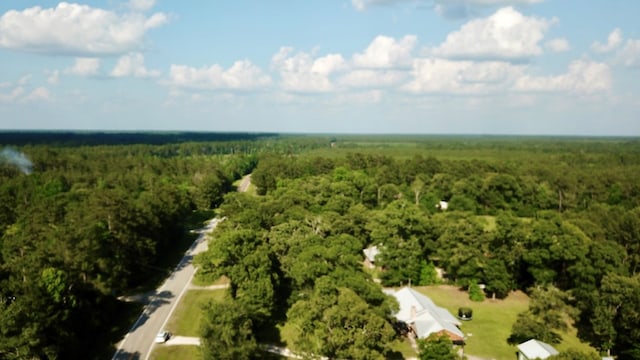 4815 Fm 2827, Warren, TX 77664 - drone / aerial view of a forest