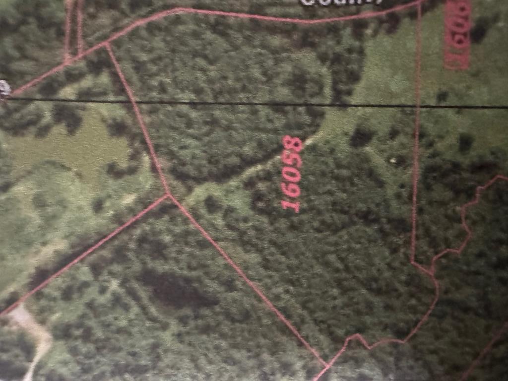 CR4789 County Road 4789, Timpson, TX 75975 - photo 1