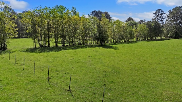 view of nature