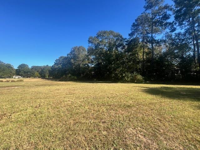 711 Barber St, Hemphill TX, 75948 land for sale