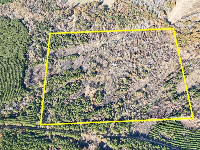 46AC County Rd 3, Douglass TX, 75943 land for sale