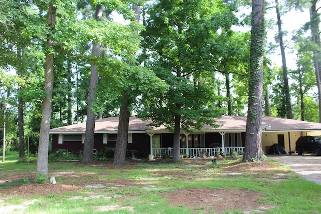 ranch-style house with driveway, a porch, and an attached carport