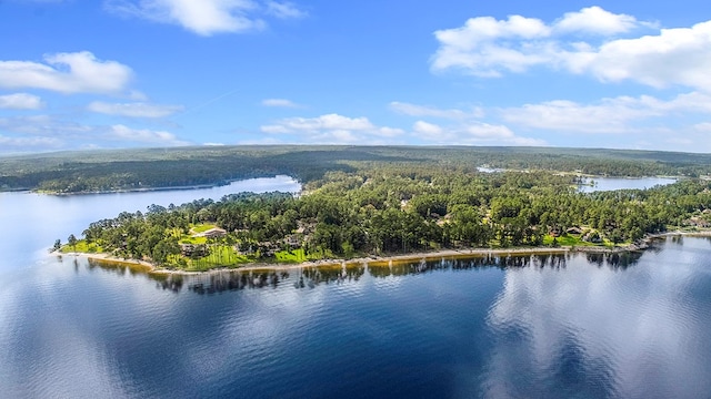 130 Boxwood Ln, Brookeland, TX 75931 - bird's eye view of a nearby body of water and a forest