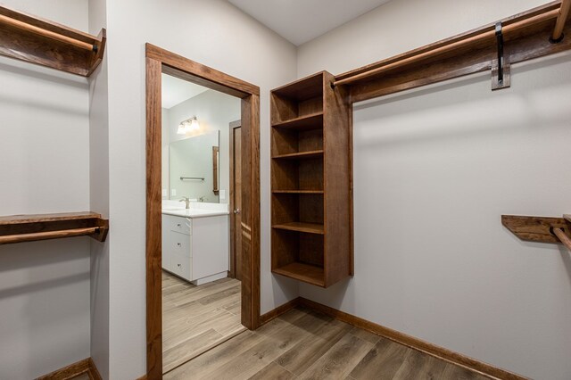 spacious closet featuring sink and light hardwood / wood-style flooring