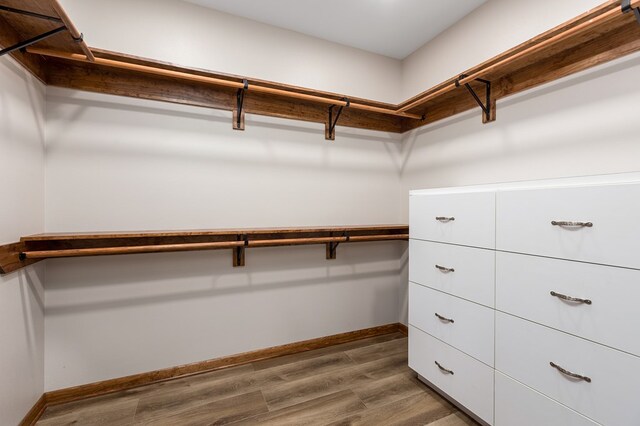 walk in closet with dark hardwood / wood-style flooring