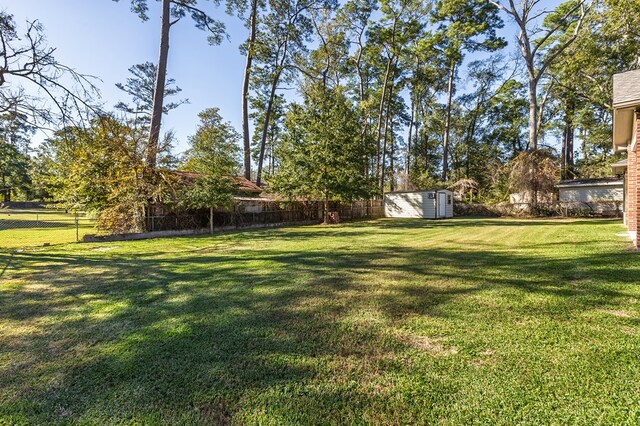 view of yard featuring a storage shed