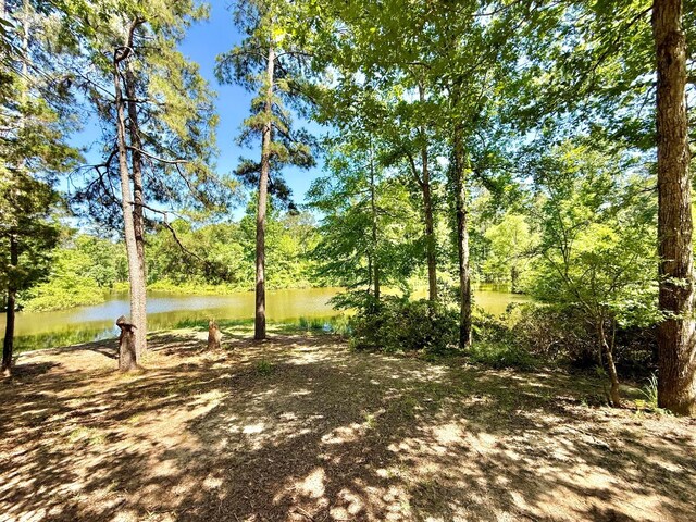 554 Pleasure Bend Rd, Hemphill, TX 75948 - photo 41