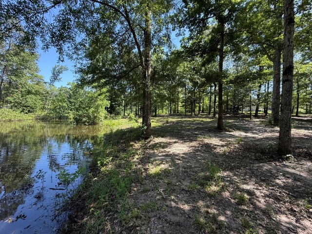 554 Pleasure Bend Rd, Hemphill, TX 75948 - photo 45