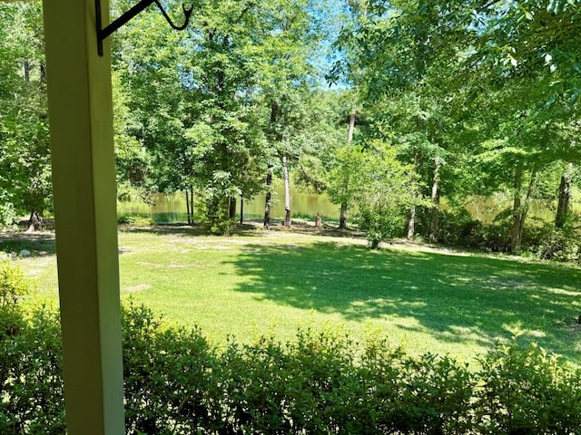 554 Pleasure Bend Rd, Hemphill, TX 75948 - photo 54