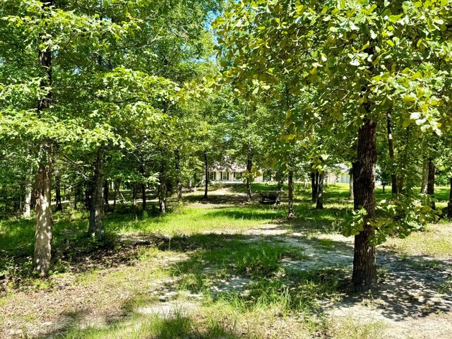 554 Pleasure Bend Rd, Hemphill, TX 75948 - photo 38
