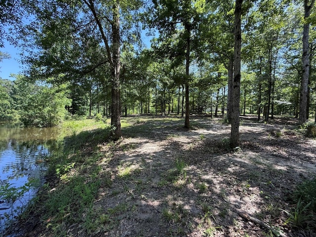 554 Pleasure Bend Rd, Hemphill, TX 75948 - photo 46