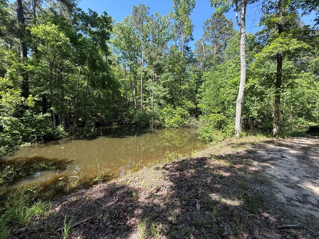 554 Pleasure Bend Rd, Hemphill, TX 75948 - photo 44