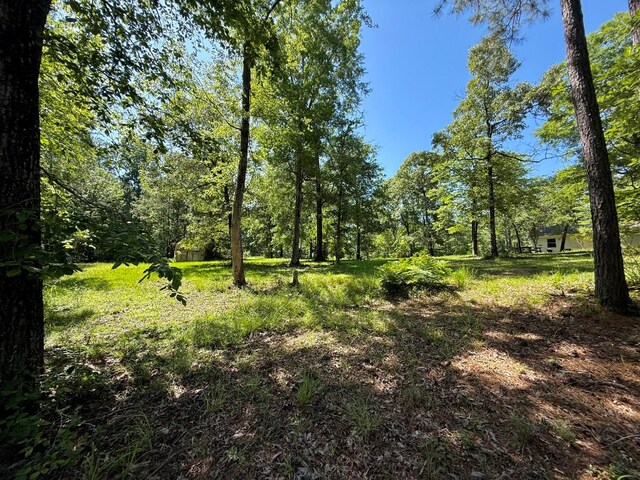 554 Pleasure Bend Rd, Hemphill, TX 75948 - photo 62