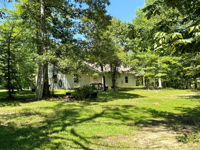 554 Pleasure Bend Rd, Hemphill, TX 75948 - photo 64