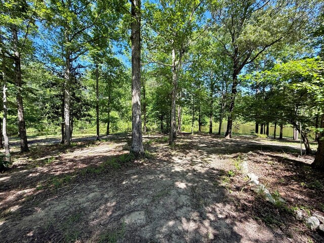 554 Pleasure Bend Rd, Hemphill, TX 75948 - photo 49