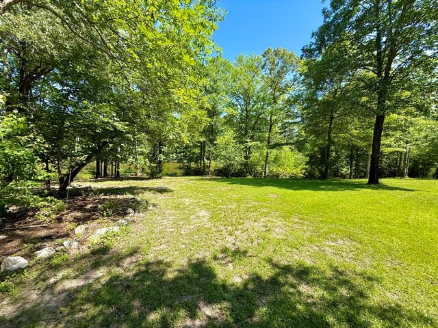554 Pleasure Bend Rd, Hemphill, TX 75948 - photo 55