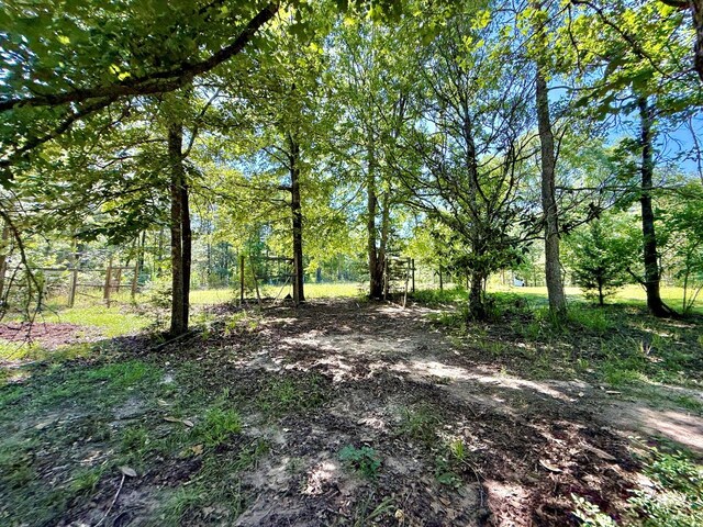 554 Pleasure Bend Rd, Hemphill, TX 75948 - photo 65
