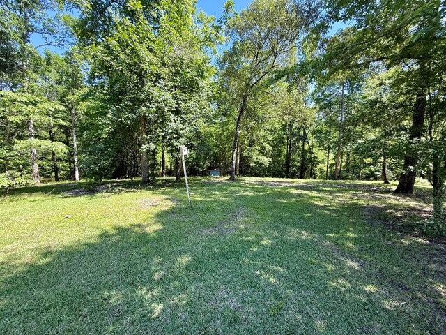 554 Pleasure Bend Rd, Hemphill, TX 75948 - photo 60