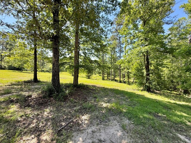 554 Pleasure Bend Rd, Hemphill, TX 75948 - photo 72
