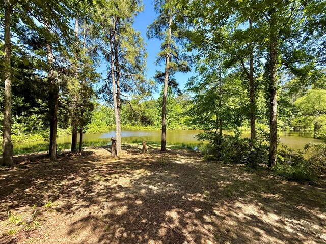 554 Pleasure Bend Rd, Hemphill, TX 75948 - photo 40