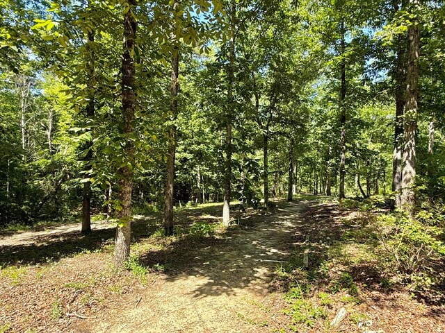 554 Pleasure Bend Rd, Hemphill, TX 75948 - photo 53