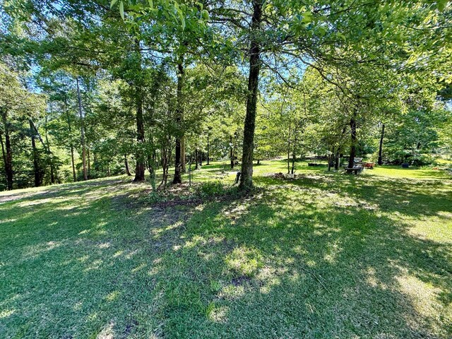 554 Pleasure Bend Rd, Hemphill, TX 75948 - photo 59
