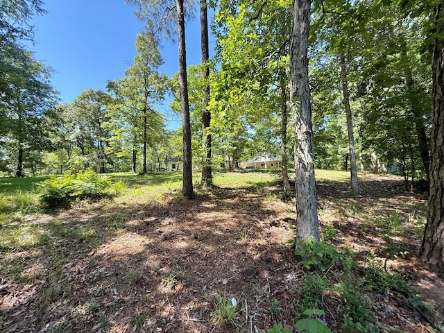 554 Pleasure Bend Rd, Hemphill, TX 75948 - photo 61