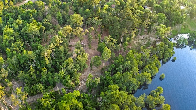 143 Sweetgum, Brookeland, TX 75931
