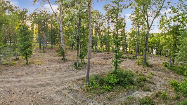 143 Sweetgum, Brookeland, TX 75931