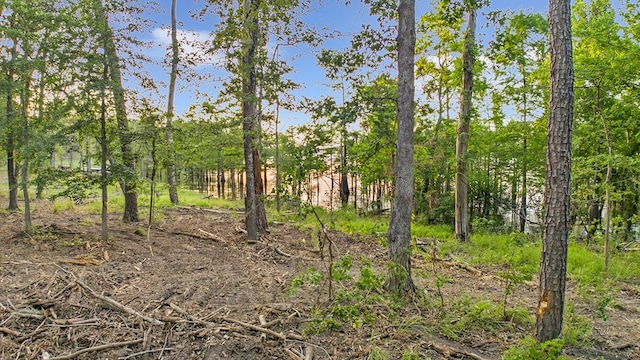 143 Sweetgum, Brookeland, TX 75931