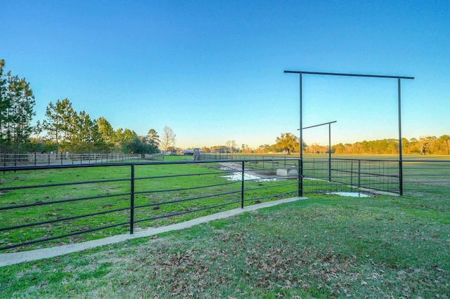 view of yard featuring a rural view