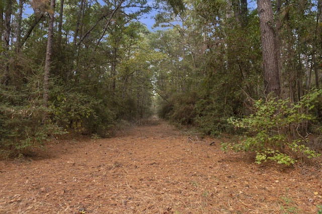 132 County Road 2195, Grapeland, TX 75844 - photo 41
