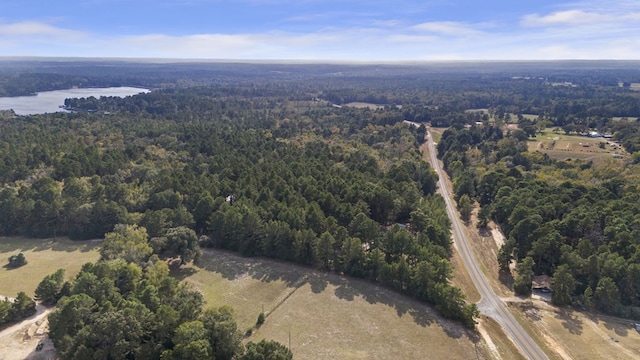 132 County Road 2195, Grapeland, TX 75844 - photo 44