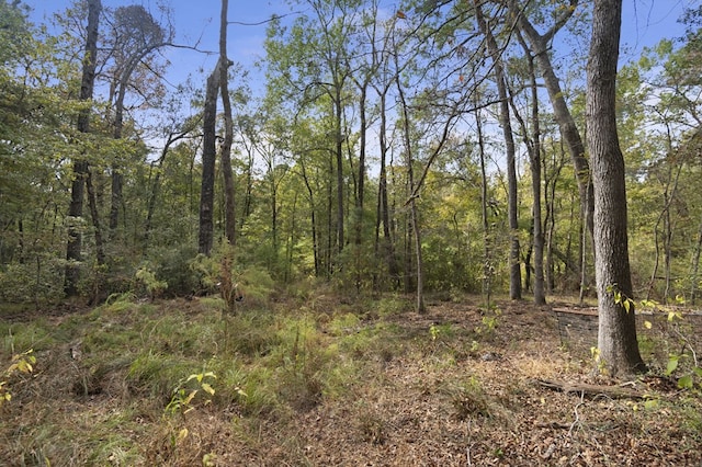 132 County Road 2195, Grapeland, TX 75844 - photo 39
