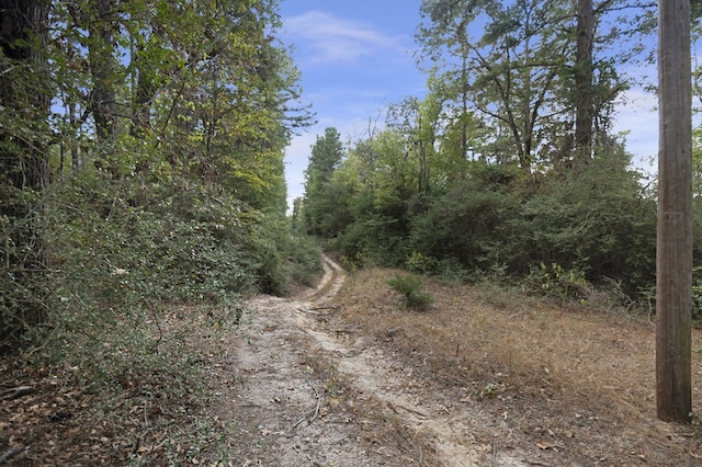 132 County Road 2195, Grapeland, TX 75844 - photo 37