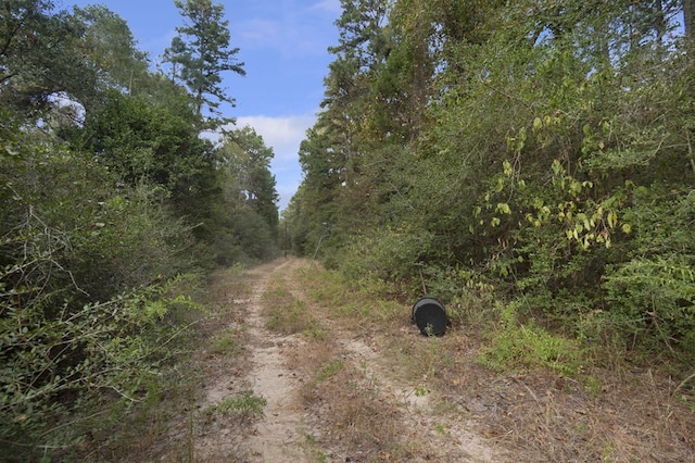 132 County Road 2195, Grapeland, TX 75844 - photo 38