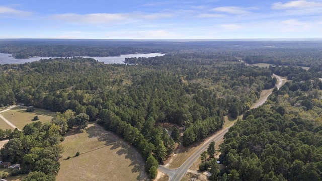 132 County Road 2195, Grapeland, TX 75844 - photo 43
