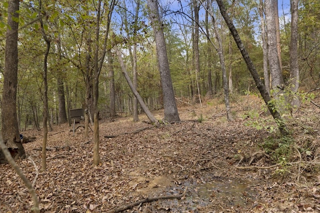 132 County Road 2195, Grapeland, TX 75844 - photo 40